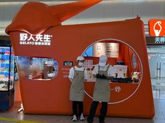 -野人先生现做冰淇淋(北京王府井东方新天地店)