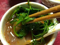 -乳仔牛牦牛汤锅 烤羊排(松潘古城店)