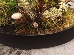 -桂满陇·海市蜃楼·黑金(国金店)