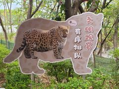 -攀枝花公园