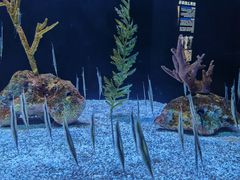 -上海海洋水族馆