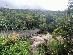 -海南热带雨林国家公园吊罗山景区