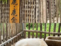 -白鹿原影视城