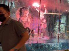 -帝企鹅自助餐厅•儿童岛•真企鹅(长隆企鹅酒店)