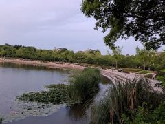 -新江湾城公园