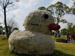 -上海都市菜园