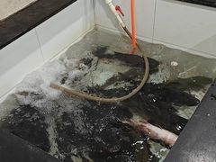 -山城家常菜铁锅炖鱼