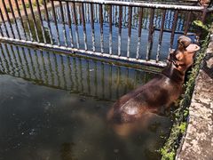 -海南热带野生动植物园