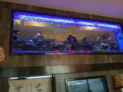 -琴寿司居酒屋(软件园店)