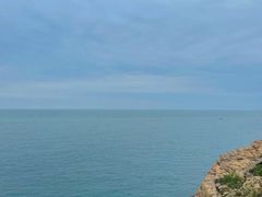 -广东惠东海龟国家级自然保护区