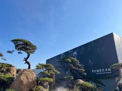 -罗红摄影艺术馆