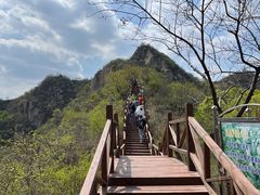 -大岭沟猕猴桃谷风景区