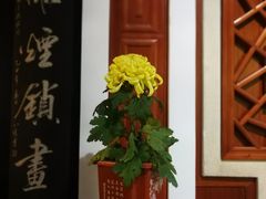 -汇龙潭