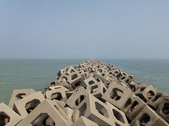 -东疆建设开发纪念公园