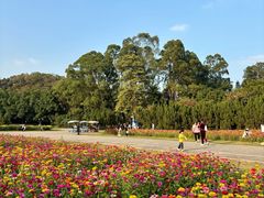 -南沙蒲洲花园