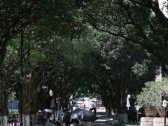 -厦门大学(思明校区)