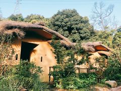 -杭州开元森泊度假乐园