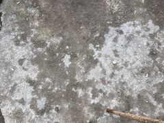 -九峰山