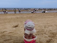 -日照海滨国家森林公园