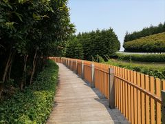 -迪茵湖田家舍生态农场