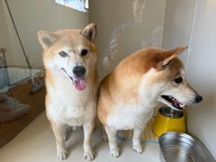 -人和水上飘(第一家店)