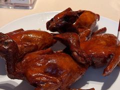 二十年陈酿醉顶鸽-侨美食家·粤菜(体育西路店)