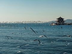 -栈桥景区