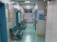-北京观赏动物医院·24小时大型综合·猫专科·异宠专科