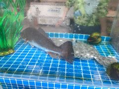 -富临港·蒸汽海鲜·手抓海鲜·炒菜(栈桥店)