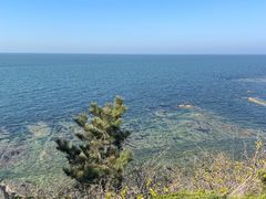 -养马岛旅游度假区