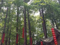 -杭州上天竺法喜讲寺