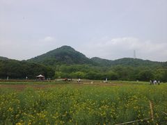-八卦田遗址公园