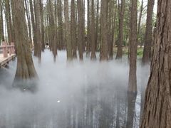 -东湖落雁景区