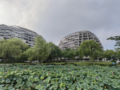 -海天湖公园