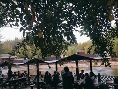 -尚庄度假村·庭台树下·户外烧烤·团建CS·轰趴营地(上庄水库店)
