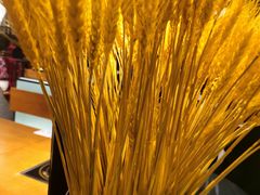 -呷哺呷哺 黄金牧场 (大港油田幸福广场店)