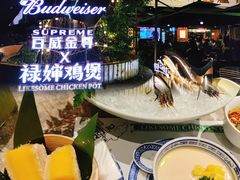 -禄婶鸡煲·打边炉