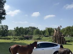 -无锡动物园·太湖欢乐园