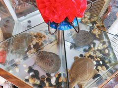-映象潇湘·小瑶村·民族特色餐厅(植物园店)