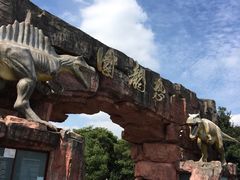 -上海海湾国家森林公园