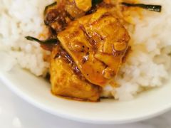 -陈麻婆豆腐总店