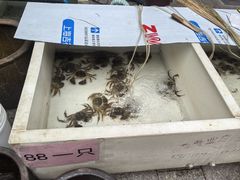 -旺山·浪头人家