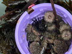 -嵊泗基湖沙滩