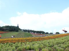 -东部华侨城