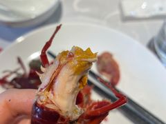 洪福冰镇龙虾-洪福龙虾