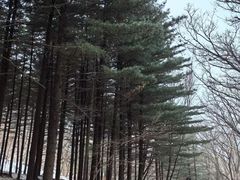 -丹东凤凰山景区