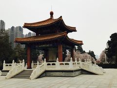 -郑州烈士陵园(二七区)