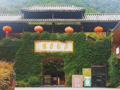 -藏龙百瀑风景区