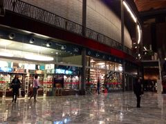 国家大剧院咖啡厅-国家大剧院西餐厅