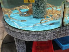 -天然居·漳港海鲜·海景餐厅(南澳总店)